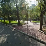 Caminho da Misericórdia